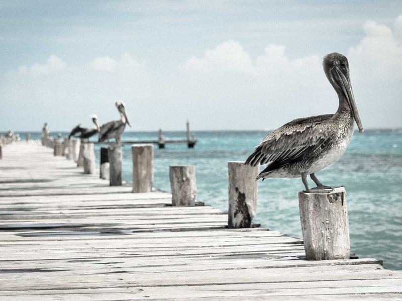 三体引力波<br>ljvwvuu.cn 红岸基地往事